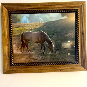 Horses. Beautifully captured